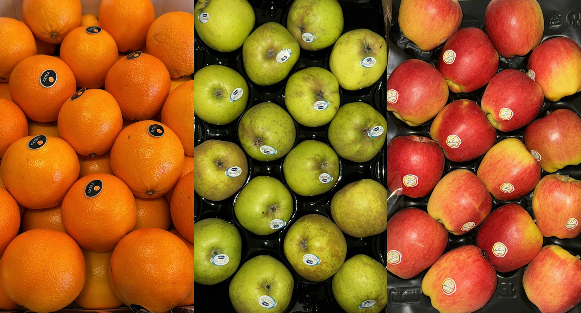 frutta_lanorteria_01